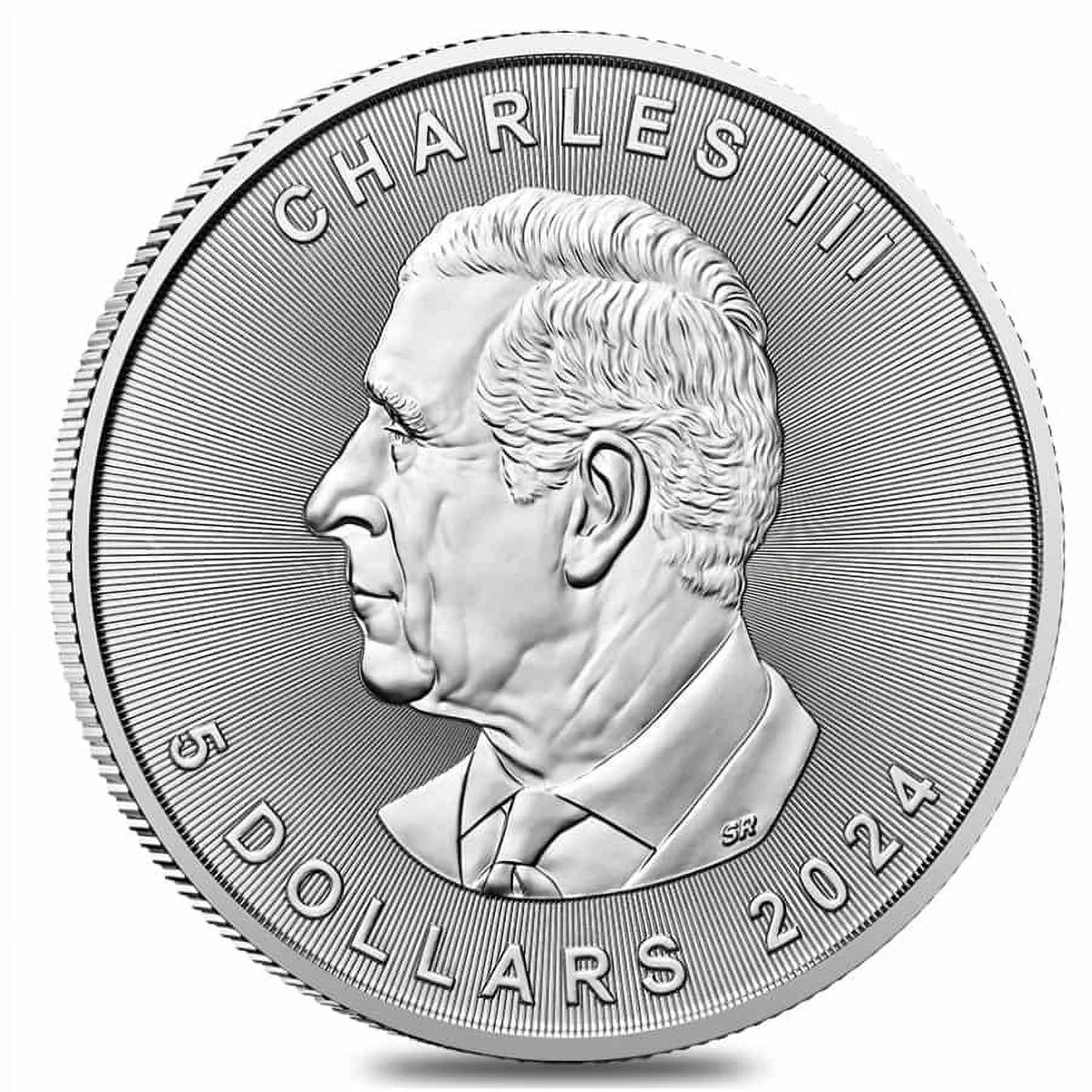 10 1 oz Canadian Silver Maple Leaf Coin J96254