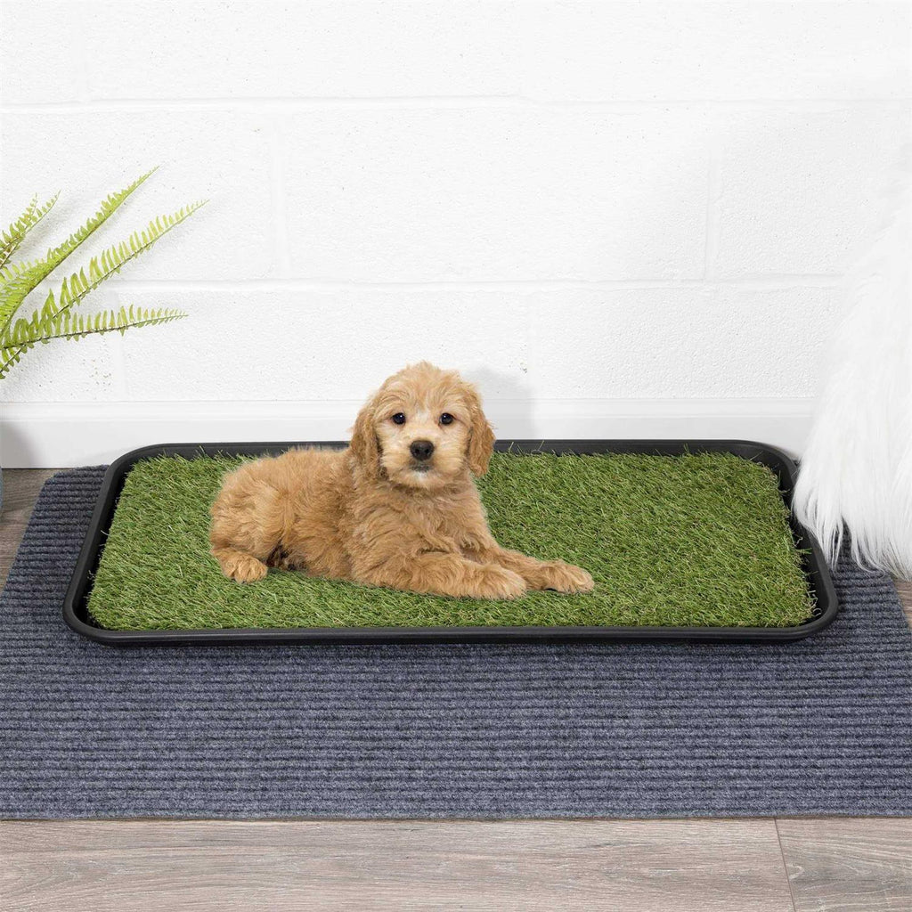 Non-Slip Easy Clean Indoor/Outdoor Tray with Reusable Grass Pad W74512