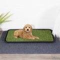 Non-Slip Easy Clean Indoor/Outdoor Tray with Reusable Grass Pad W74512