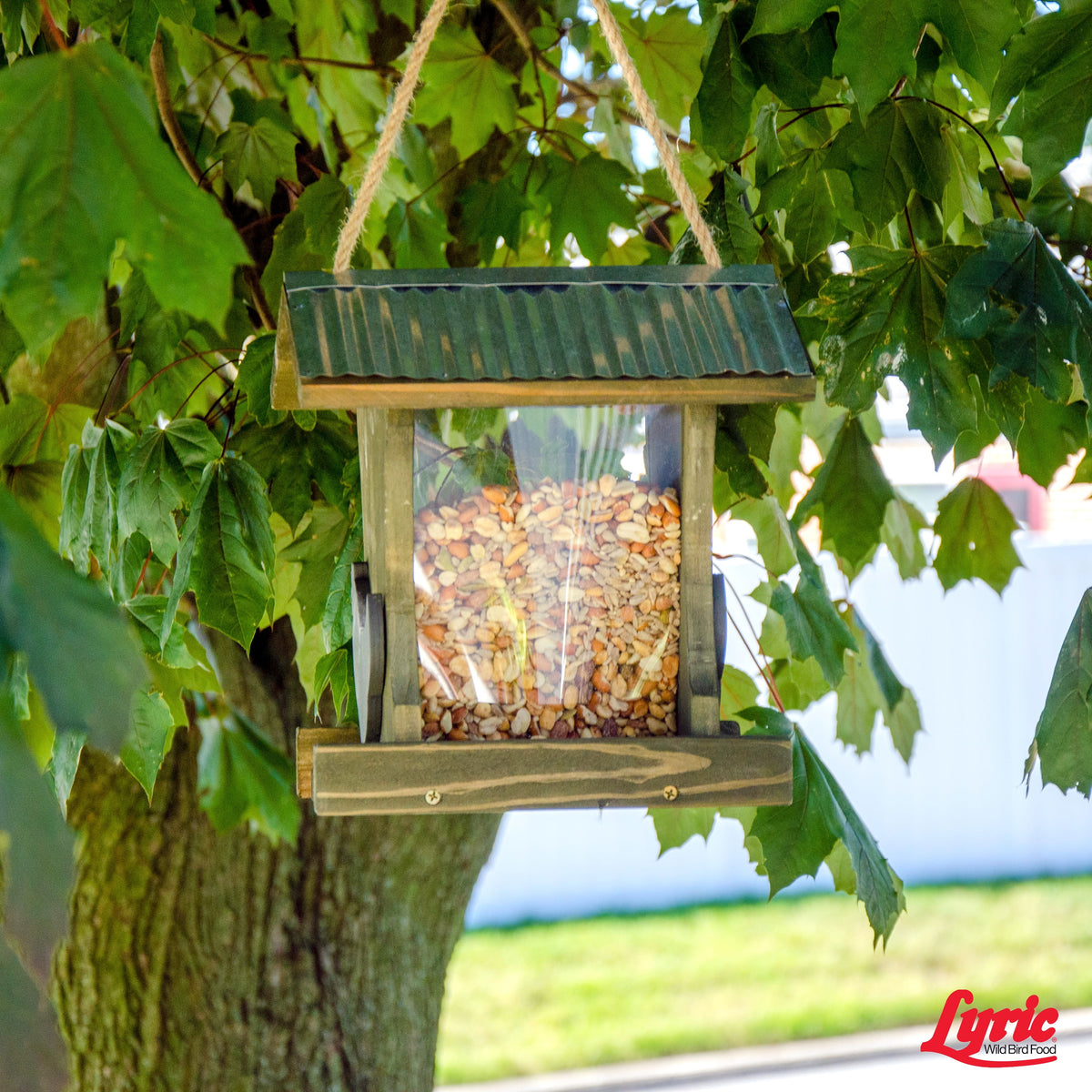 20 lb. No Waste Bird Seed with Shell-Free Nuts & Seeds D179