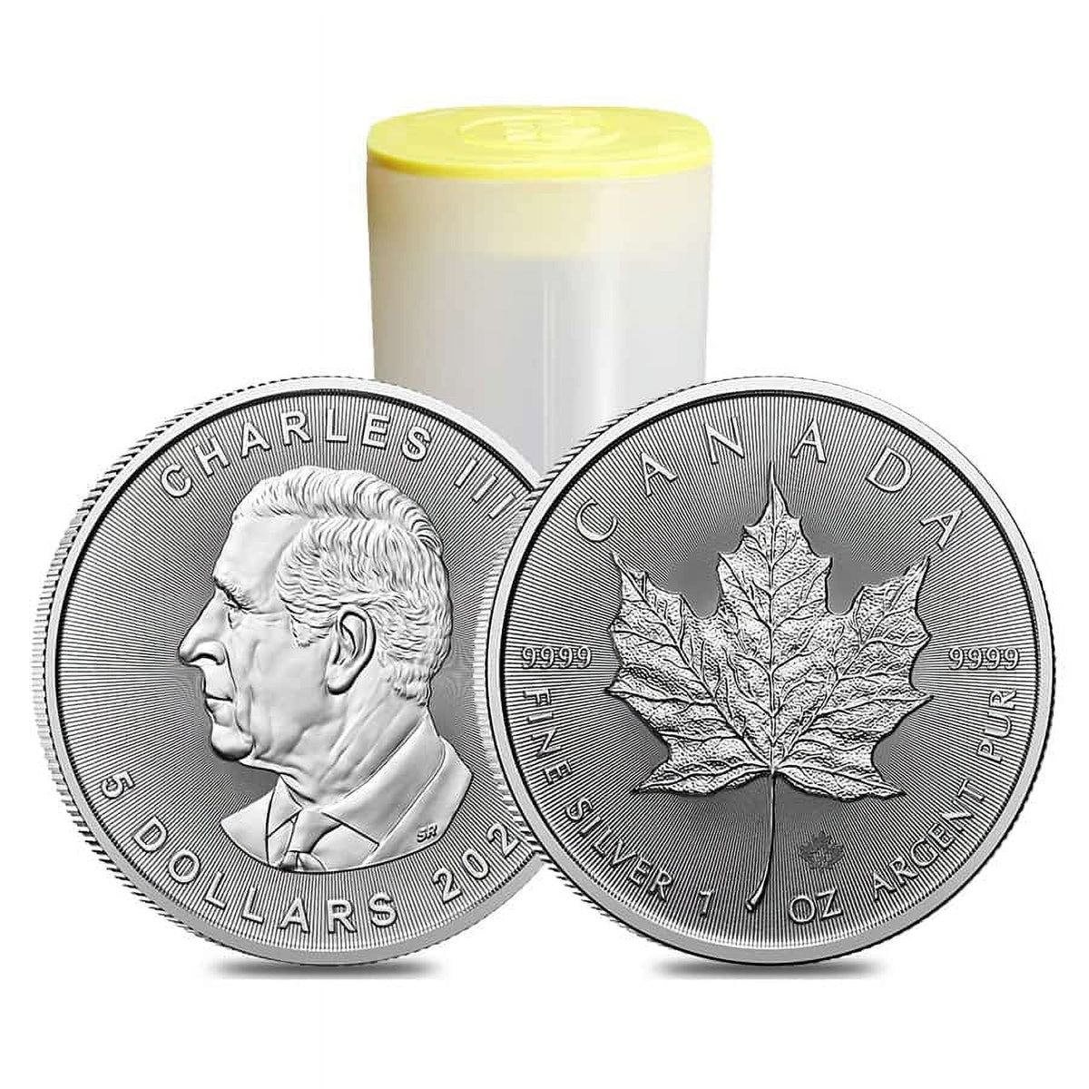 10 1 oz Canadian Silver Maple Leaf Coin J96254