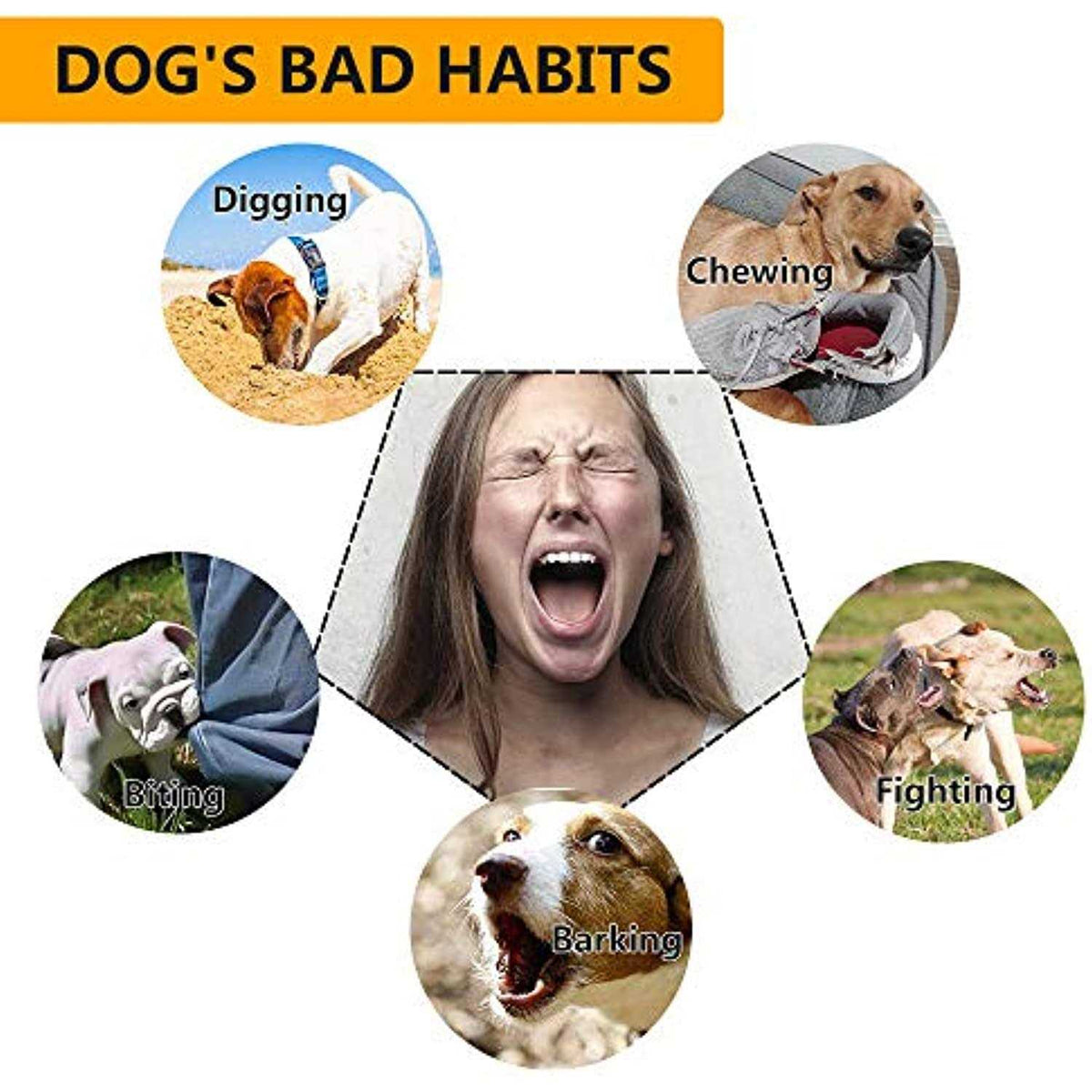 Dog Training Collar with Remote P7520