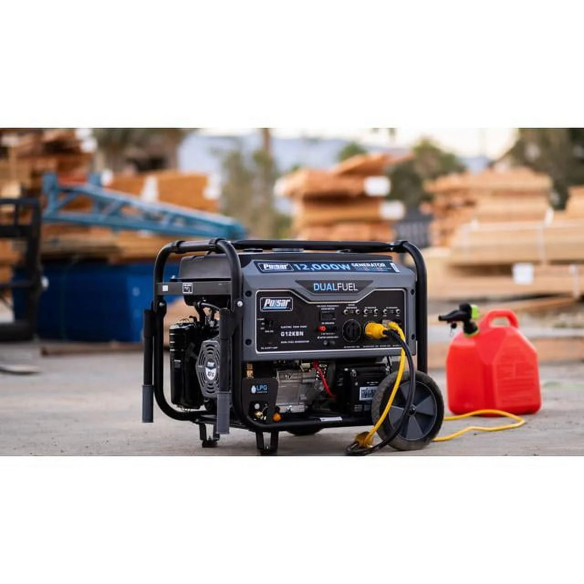 12,000W Dual Fuel Portable Generator in Space Gray with Electric Start D369