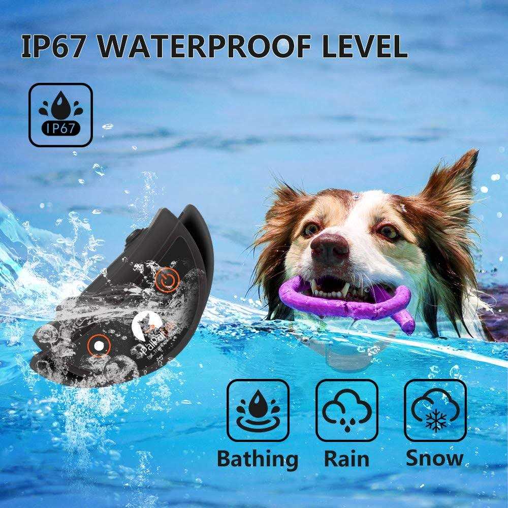 Dog Training Collar with Remote P7520