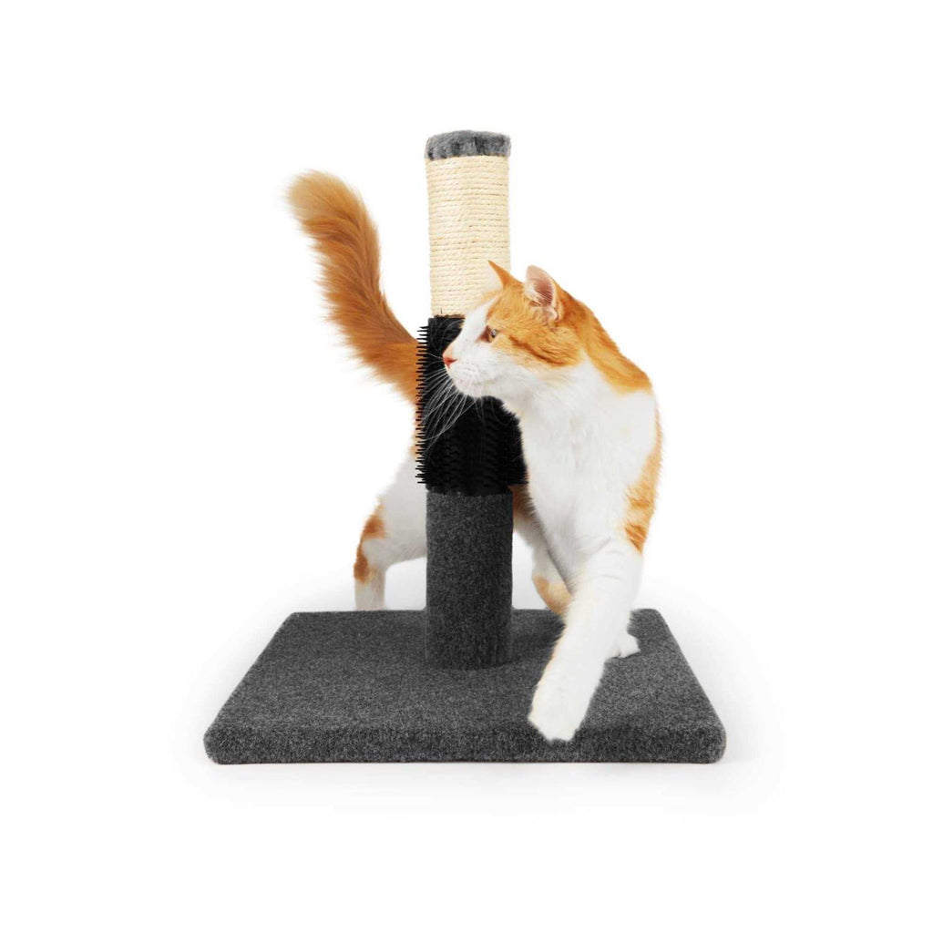 Colorful Cat Scratch Post N610