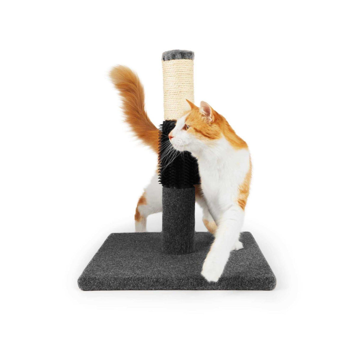 Colorful Cat Scratch Post N610