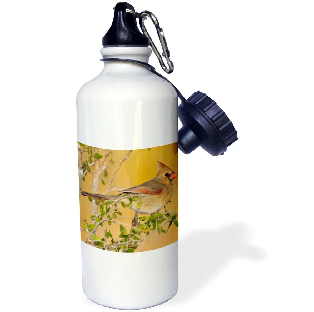 21 oz Sports Water Bottle P89324