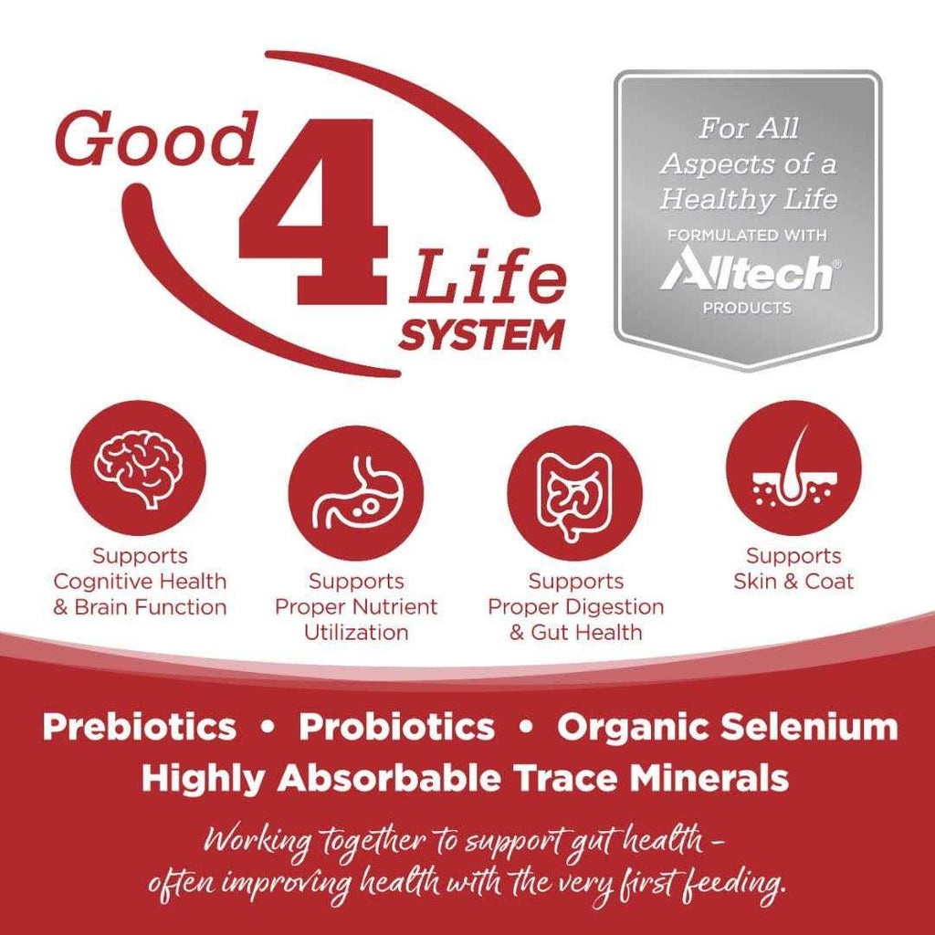 Beef & Red Lentils Grain Free Dry Dog Food C715867