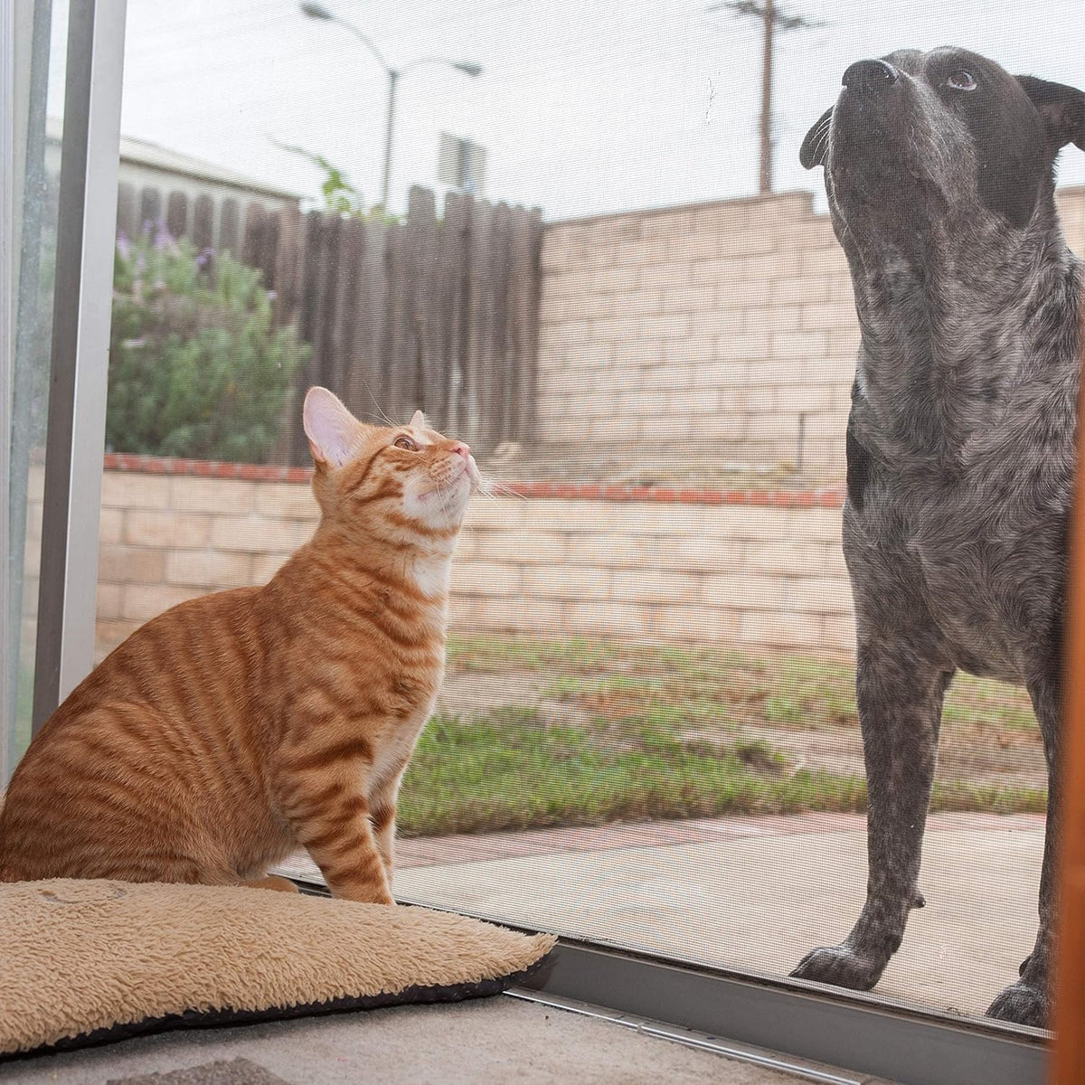 48" x 50' Pet Proof Screen S9952