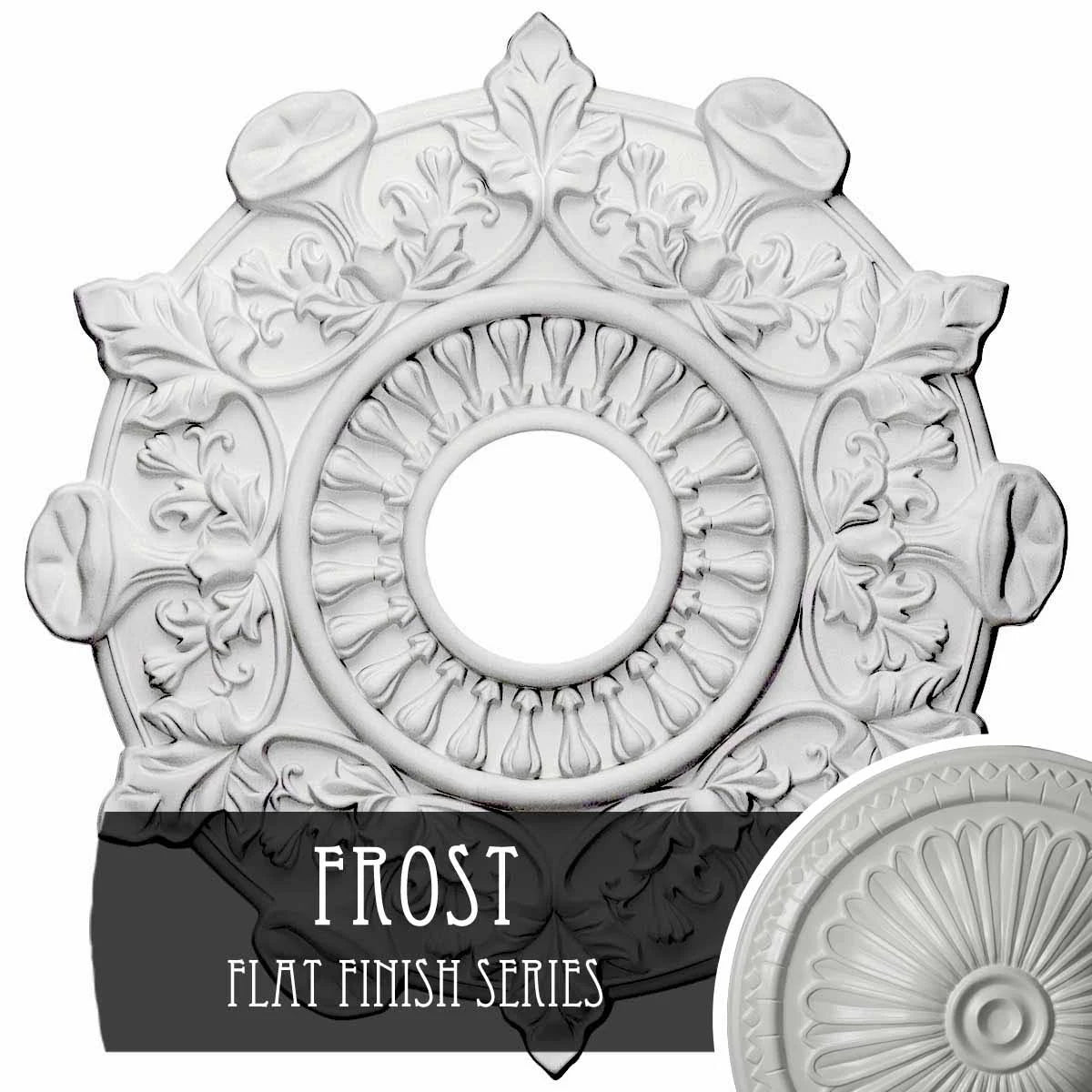 Hand-Painted Ceiling Medallion T606171