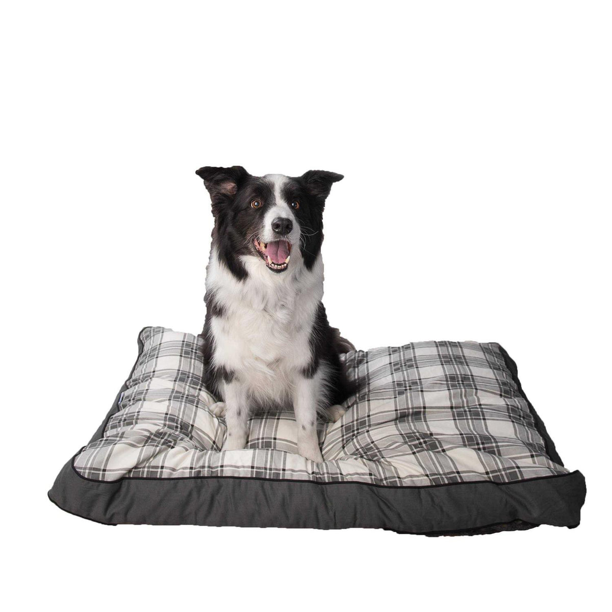 Dog Bed H960
