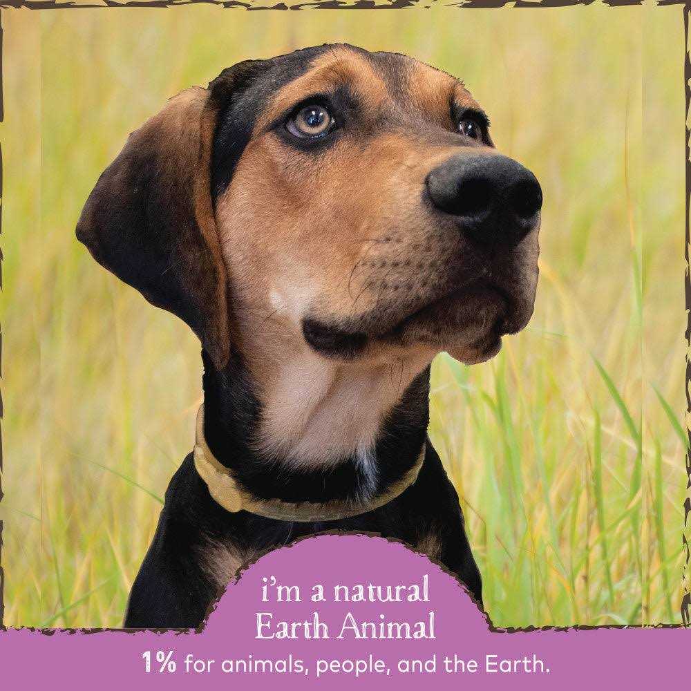 Flea & Tick Daily Herbal Internal Powder L912367