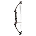 Carbon Bow Kit G702364