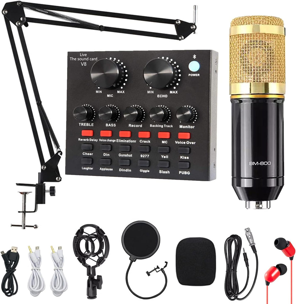 Gold Condenser Microphone Bundle Pack of 2 W1723