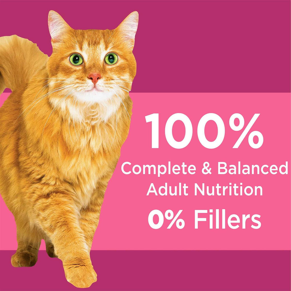 Chicken Adult Urinary Tract Dry Cat Food M452