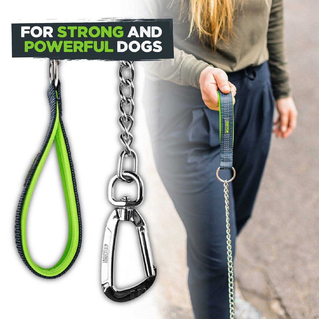 Chew-Proof Dog Seat Belt V529374