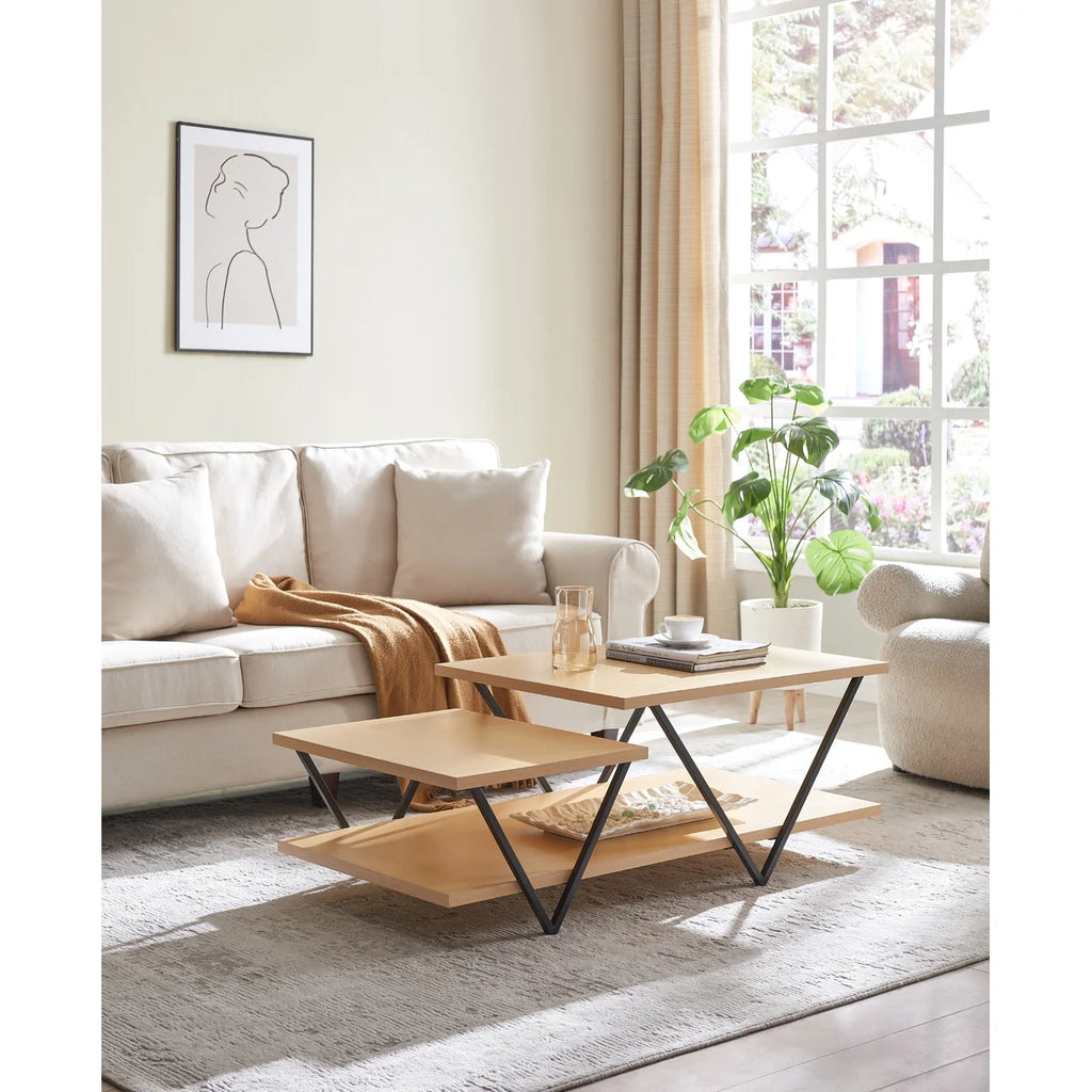 48 Inch 2 Tier Coffee Table with Bottom Shelf D1141