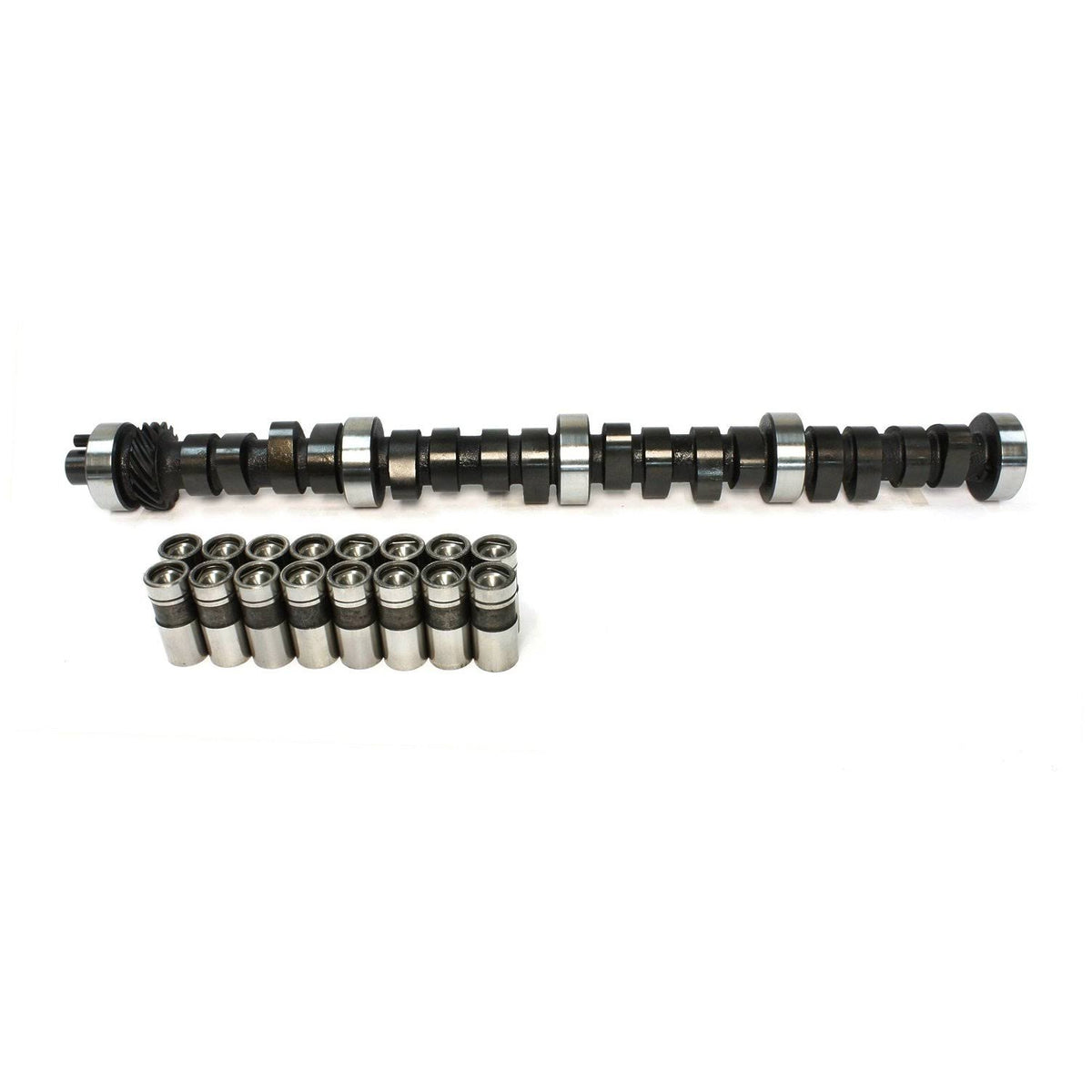 Camshaft and Lifter Kit T476985