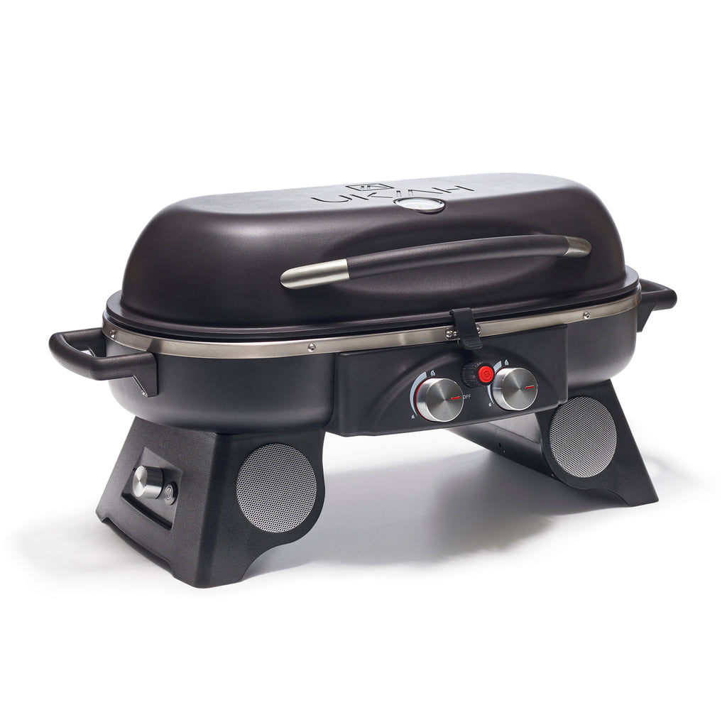Portable Wireless Outdoor Propane Grill F363117