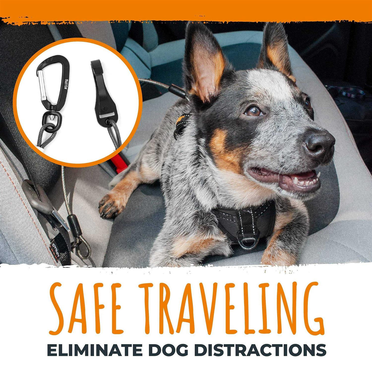 Chew-Proof Dog Seat Belt V529374