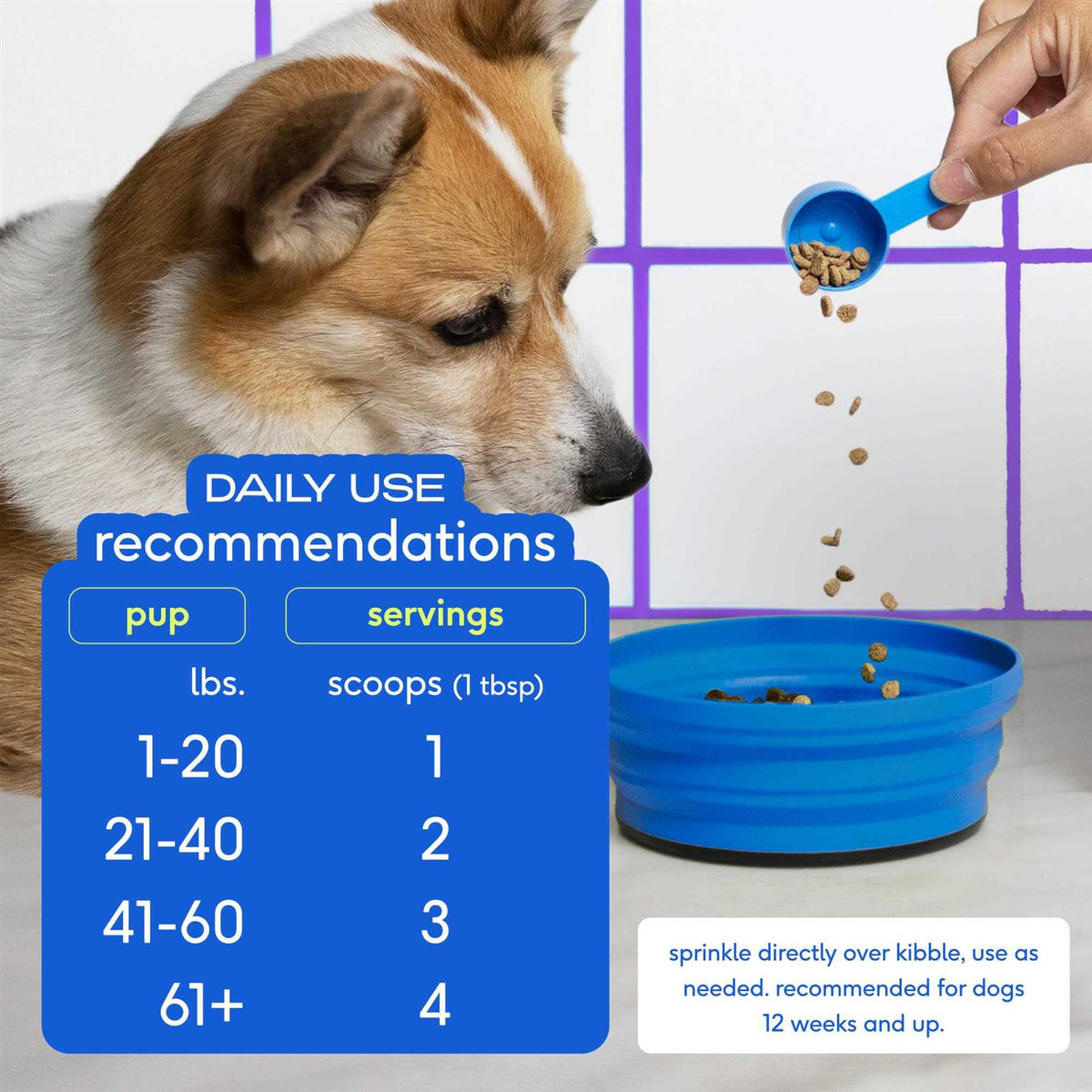 Anal Gland Supplement for Dogs M63963