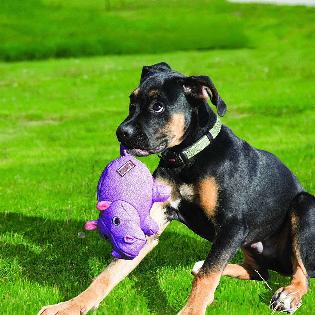 Pig Dog Toy Z566408