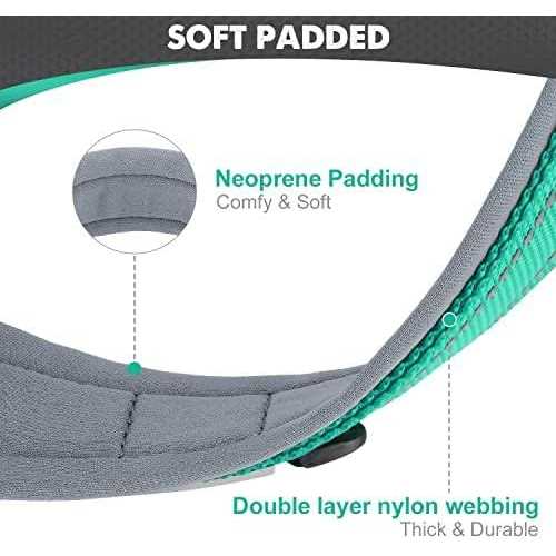 Reflective Soft Neoprene Padded Nylon Dog Collar N969
