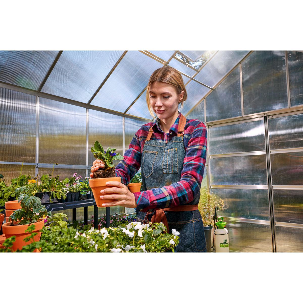 10 ft. x 12 ft. Greenhouse with 4 Vents X62188