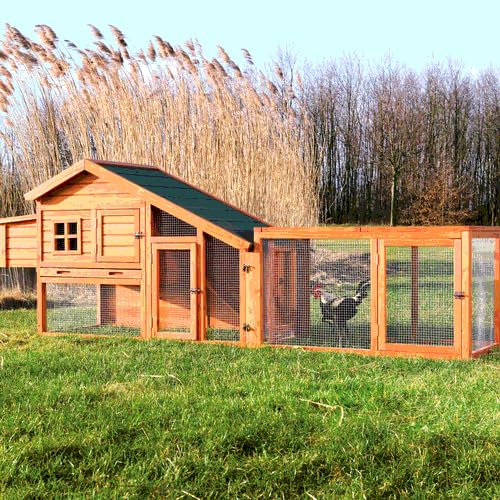 Chicken Outdoor Run with Mesh-Covered Top Y206