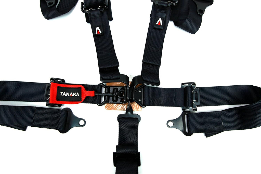Black 5 Points Safety Harness Set with Shoulder Pads, Pack of 2 F8433