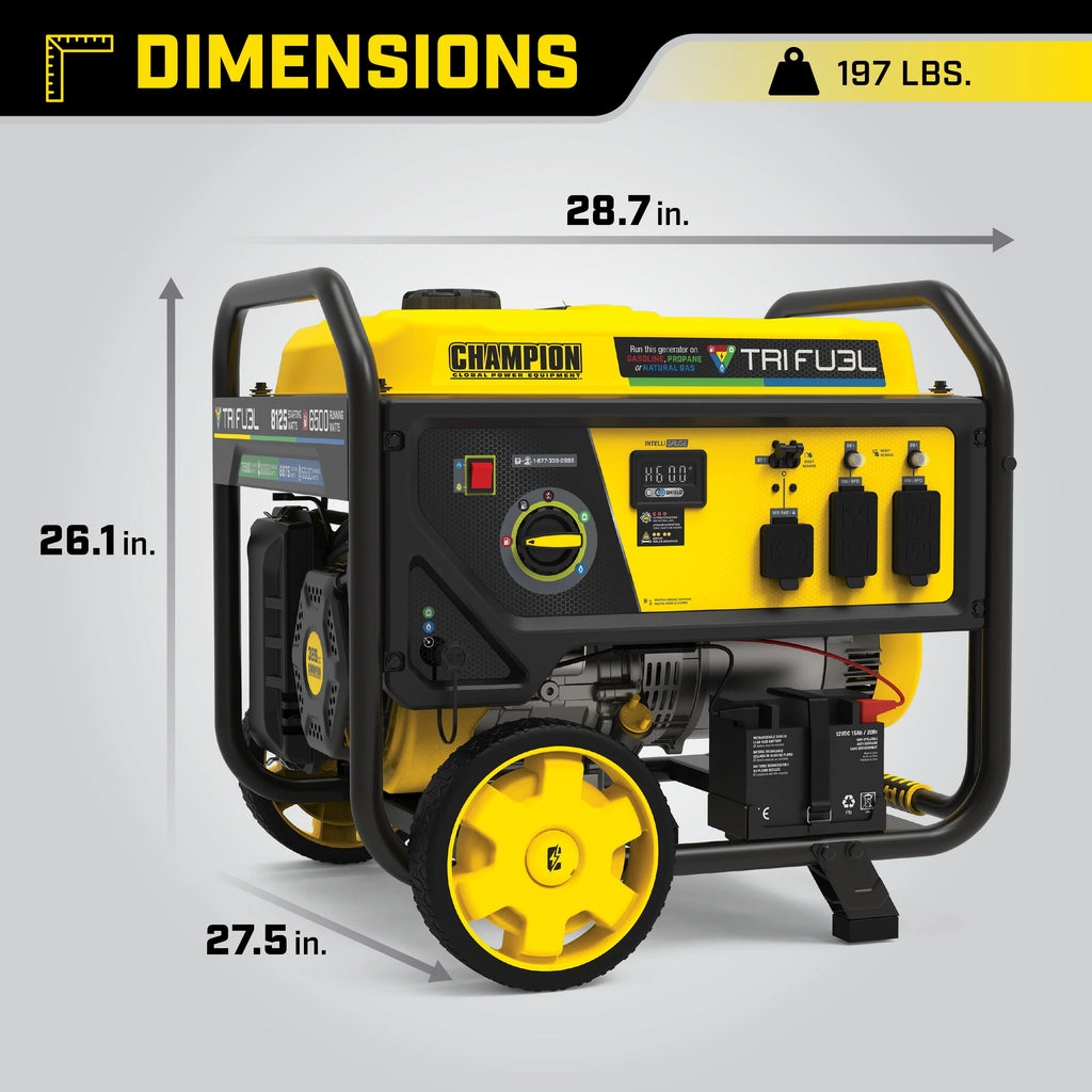 6500-Watt Tri-Fuel Portable Generator with Electric Start P49445