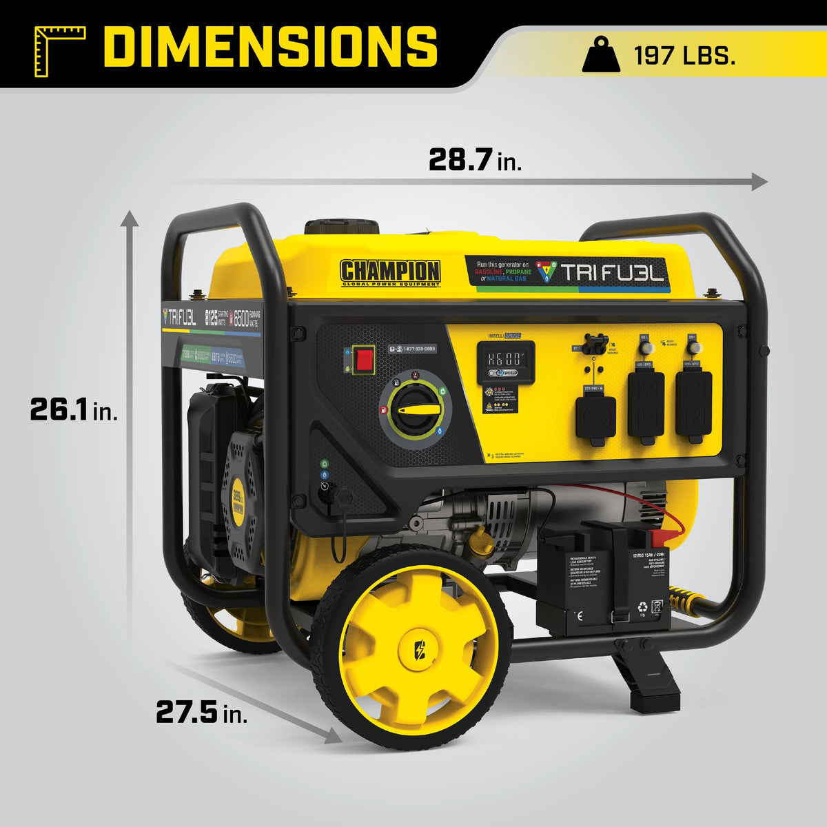 6500-Watt Tri-Fuel Portable Generator with Electric Start P49445