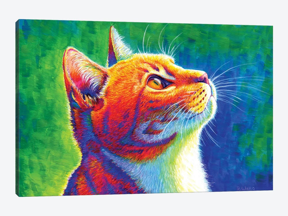 Rainbow Tabby Cat Canvas Wall Decor Prints T304017