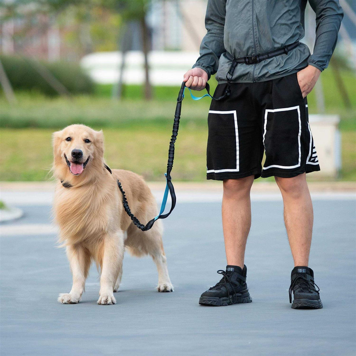 Hands Free Dog Leash with Zipper Pouch G82176