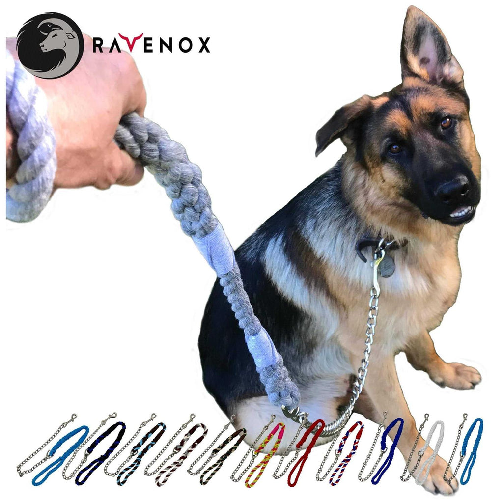 Dog Leash with Chain S22101