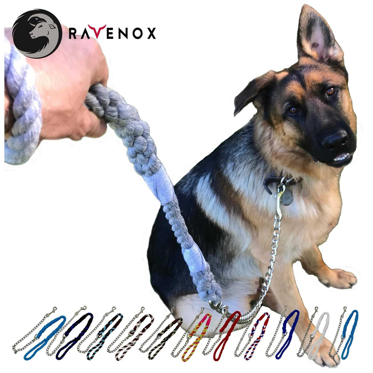 Dog Leash with Chain S22101
