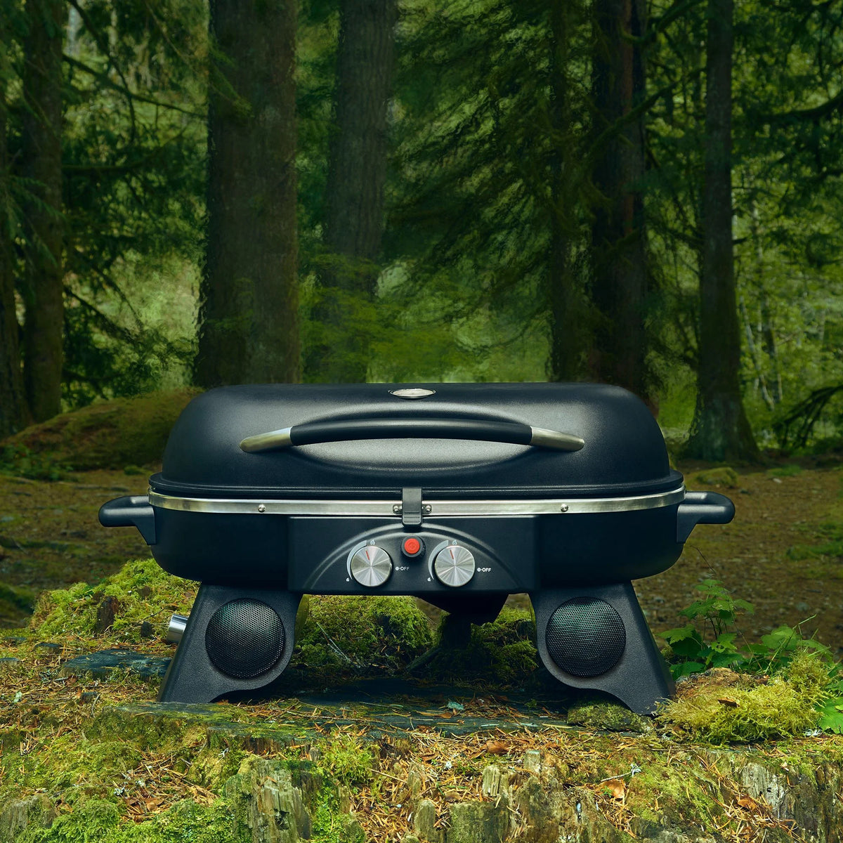 Portable Wireless Outdoor Propane Grill F363117