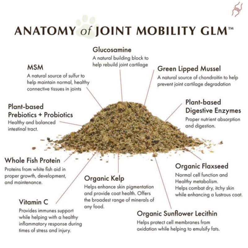 Joint Mobility with Green Lipped Mussel F453089