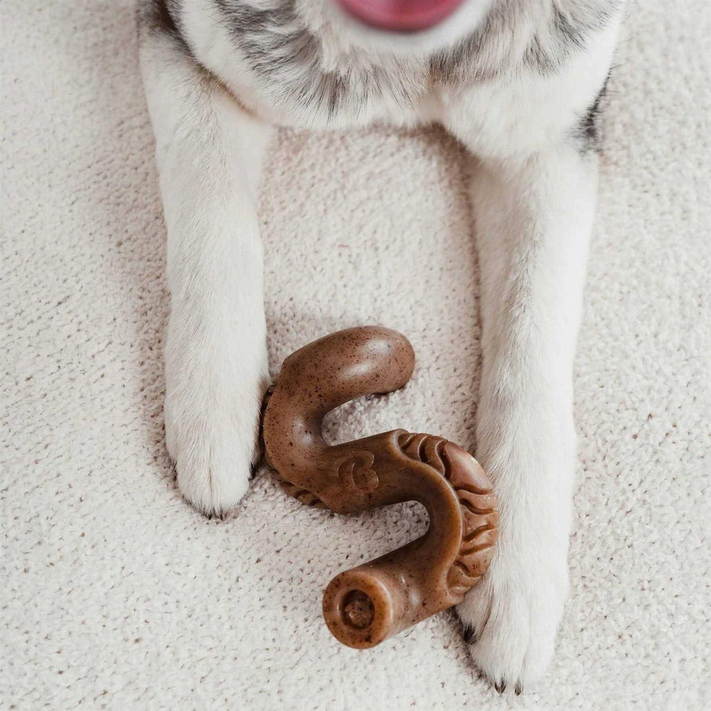 Dog Chew Q783