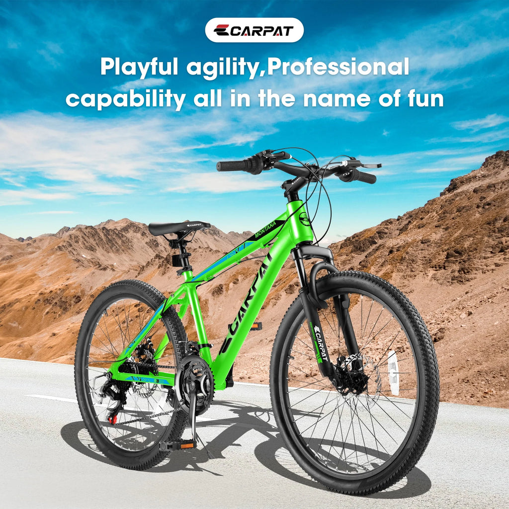 24 inch 21-Speed Mountain Bike with Disc Brake P881159